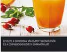 MÉZKÜLÖNLEGESSÉGEK Ámorméz / aranyvesszőméz /
