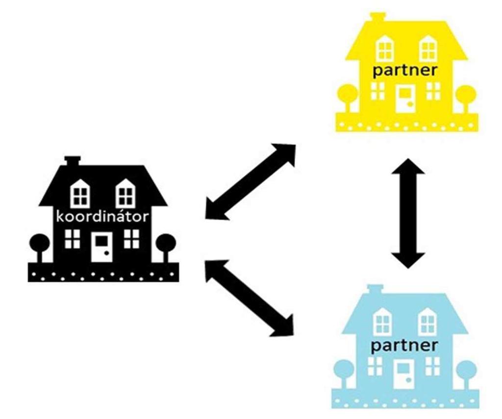 Partnerség összetétele Egyenrangú felek Koordinátor nem domináns