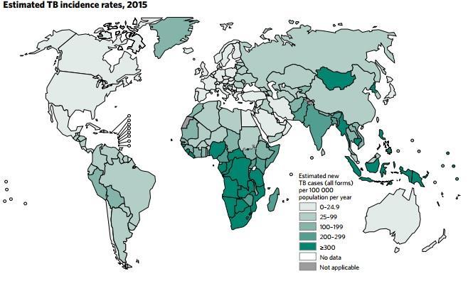 1. ábra: A tbc becsült incidencia térképe 2015-ben a WHO felmérései szerint (http://www.who.int/tb/publications/global_report/en/).