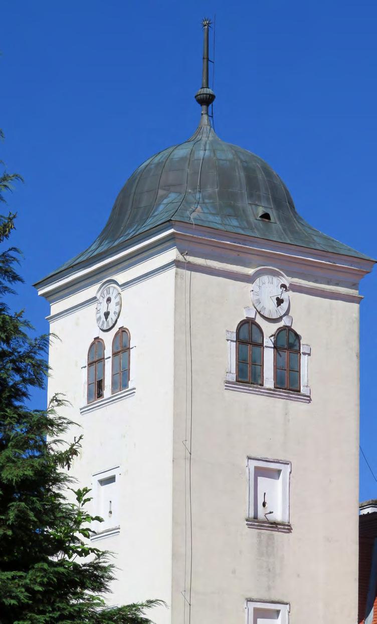 Csákánydoroszló közigazgatási területén belül nagy kiterjedésű erdőterületek találhatók, melyeknek a NATURA 2000 hálózathoz tartozó részei védettek.
