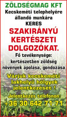 munkakörülmények Kiváló csapat Precíz, kimagasló