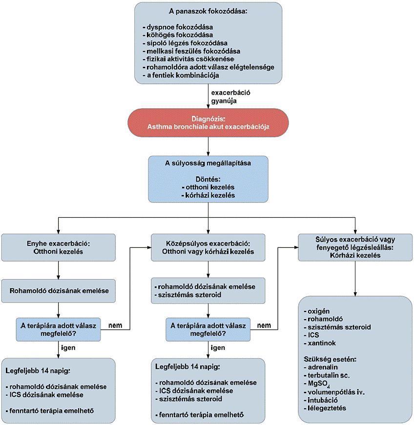 6. Az asthma bronchiale gyógyszeres kezelése