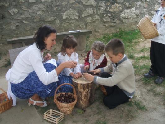TÁMOP 3.1.