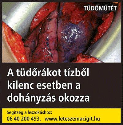 1. 5. melléklet a