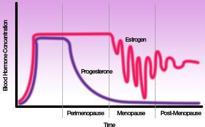 MENOPAUZA