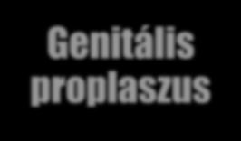 FÁJDALOM Herpesz