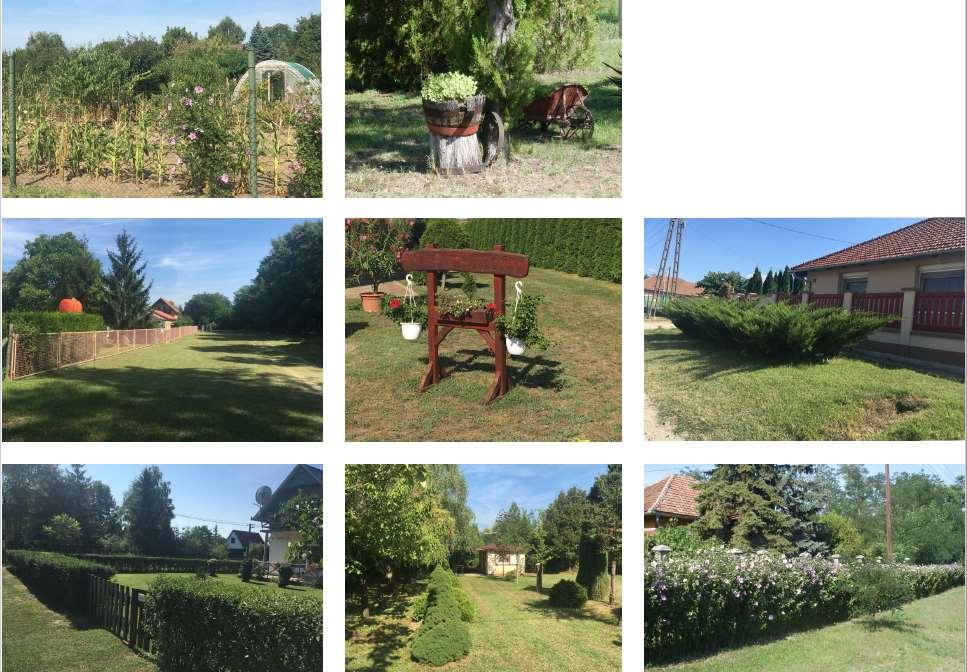 49 Kertek A rendezett kertek, zöldfelületek szerves hozzátartozói az épületeknek és