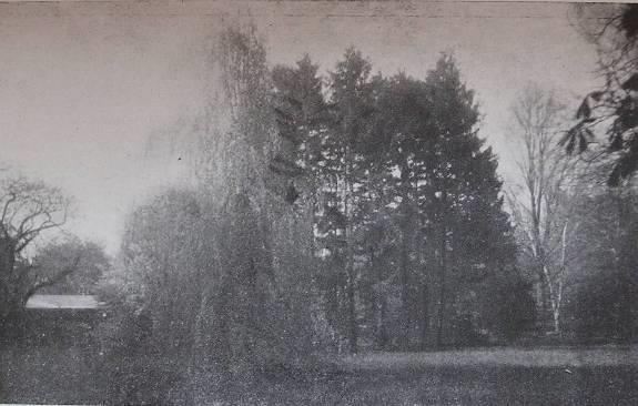 megjelölve. 55.
