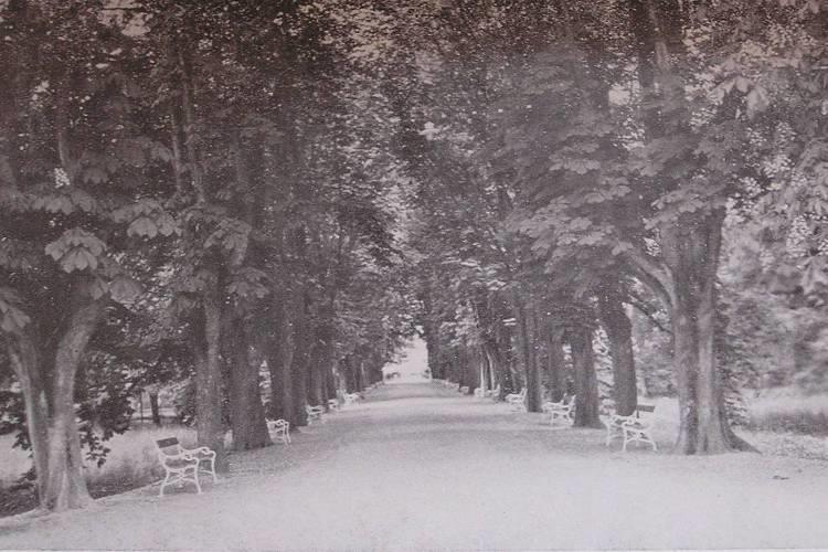 1920-as évek 54.