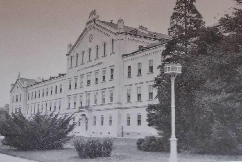 60. kép: A ródlidomb