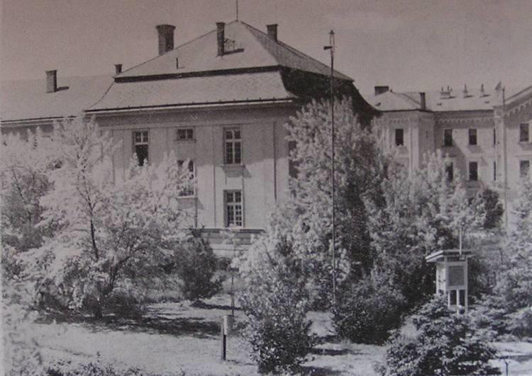 előtti kert 63.