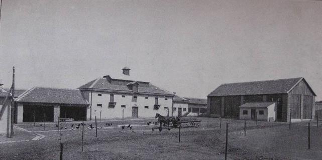 KISMARTON 64.