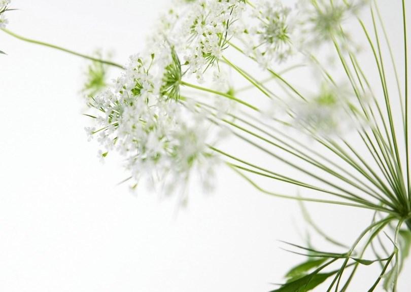 ...több, mint BIO Minden Martina Gebhardt termék a bio és natúrkozmetikai minősítő rendszerek legszigorúbb kritériumrendszerét felvonultató Demeter-minősítéssel rendelkezik A Martina Gebhardt