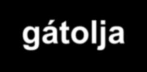 Az érátmérő változása (%) glibenclamide ATP - + K + aprikalim ATP camp cgmp vasodilators A K ATP aktivációra kialakuló