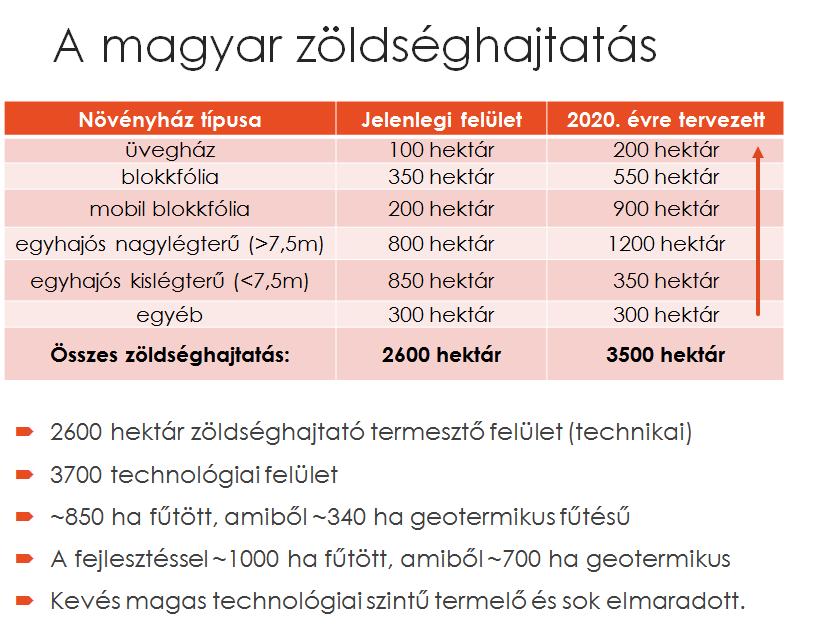 Szabadföldi zöldségtermesztés kb. 75-80 ezer ha de ebből 50-55 e. a hárm nagymagvú zöldségnövény és 25 e.