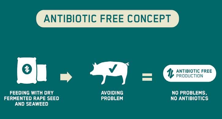 ANTIBIOTIKUM A cél a