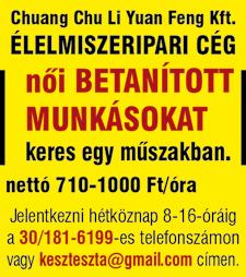 Főbb feladatok: -üzemi hulladékgazdálkodási feladatok irányítása, -targoncavezetés, -raktárkészlet kezelés, -telephelyi dolgozók irányítása (14 fő 3 műszak).