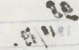«/ ő > *.