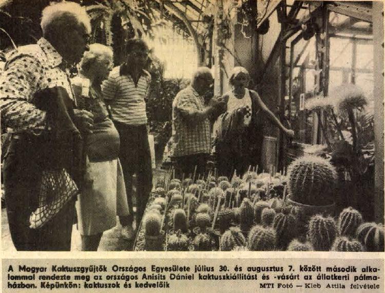 25 ségeknek mindig bizonyos hangféleség felel meg és fordítva. Gramofón lemezekkel végzett kísérletek igazolták ezt. Mescalinmámorban látni a hangokat. Egy bizonyos hang mindig kék, másik szürke stb.