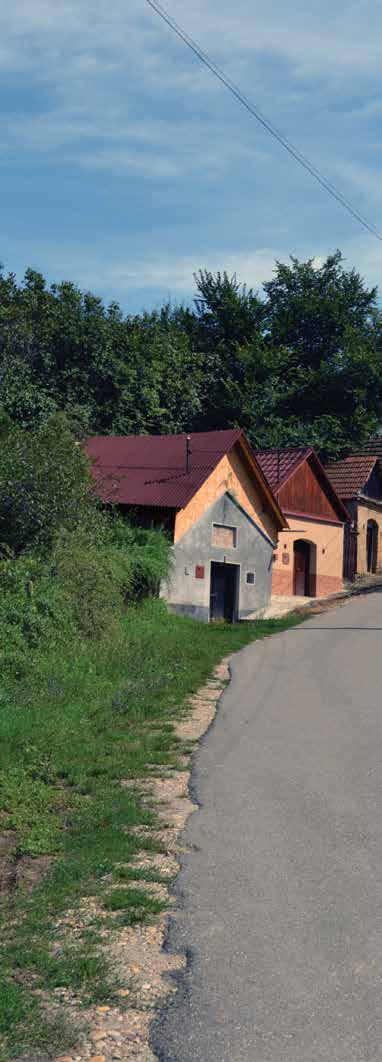 Cultură și natură în Transilvania Trecut și viitor PATRIMONIUL CONSTRUIT AL SĂLAJULUI Patrimoniul construit al regiunii reflectă într-un mod variat diversitatea etnică și religioasă a acestei