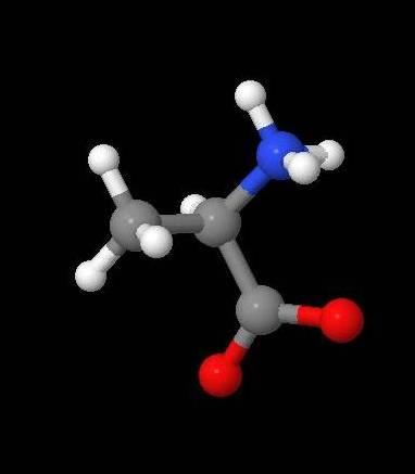 kapcsolódása: peptidkötés Peptid 2.