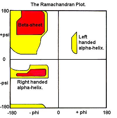 Ramachandran plot Egyéb