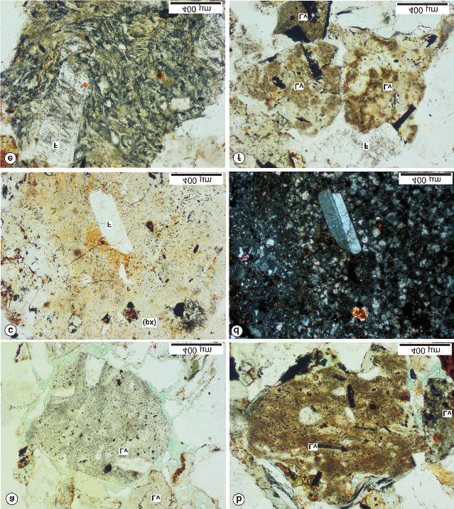 Földtani Közlöny 145/1 (2015) 17 11. ábra. A 10. (a d) és a 12. (e és f) vékonycsiszolat petrográfiai jellemzői (9012. sz. fúrás, Cserdi Formáció).