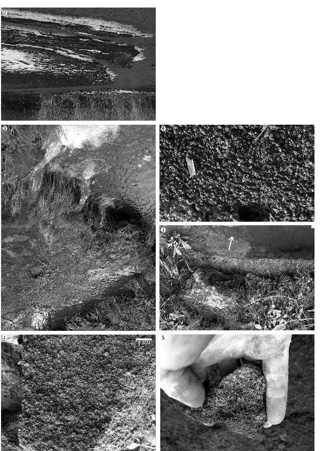 Földtani Közlöny 145/1 (2015) 71 I. tábla Plate I 1. Fe-, Mn-granulátum az Aranyos-árok szelvényében 2. Agyagos üledékbe áthalmozott Fe-, Mn-granulátum 3.