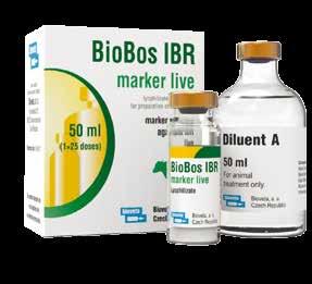 Hatóanyag: 2 ml tartalmaz: Inaktivált 1-es típusú szarvasmarha herpeszvírus (BHV-1) Bio-27 törzse: IBR ge- RP 1 Célállat faj: Szarvasmarha