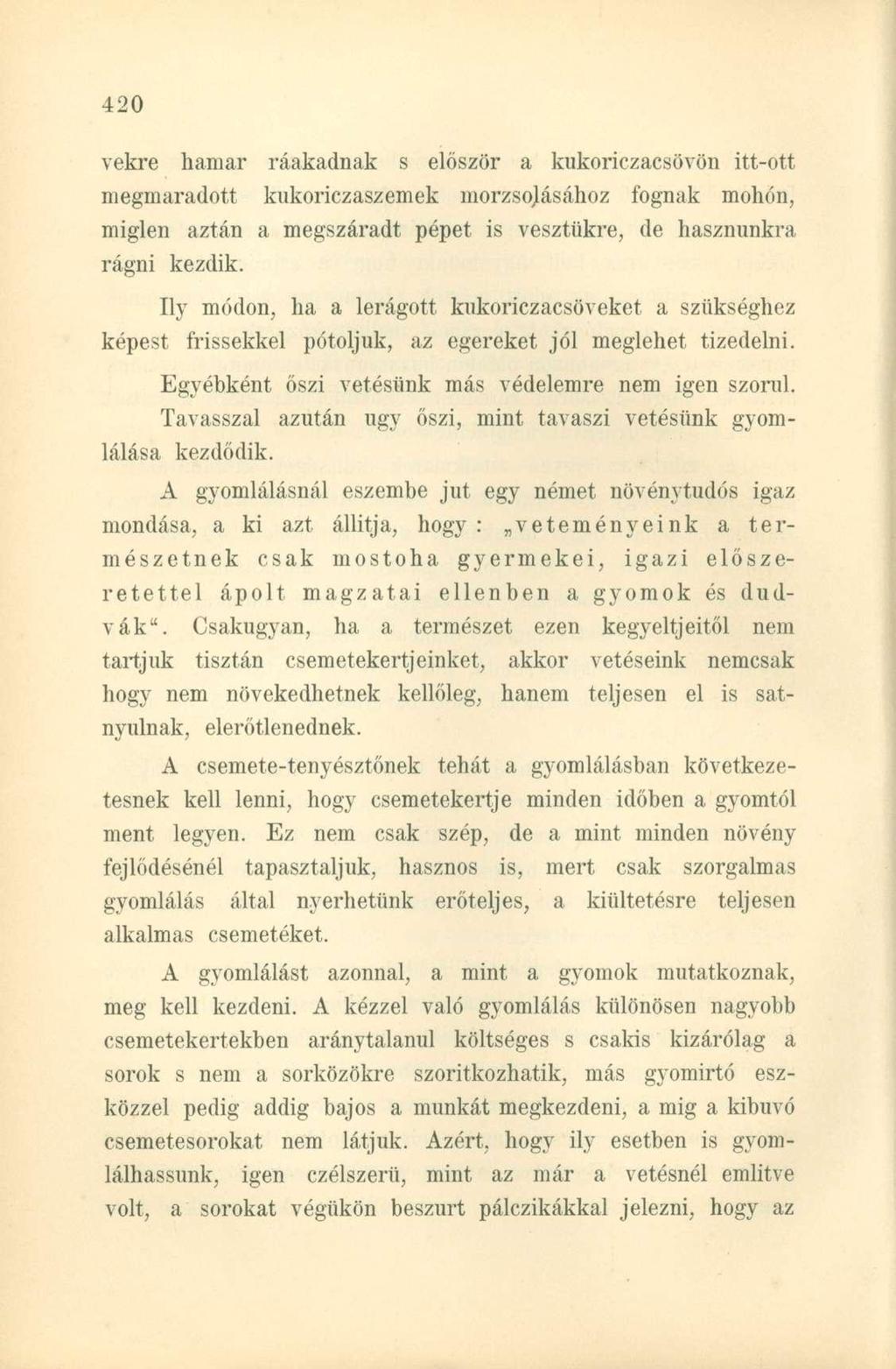 vekre hamar ráakadnak s először a kukoriczacsövön itt-ott megmaradóit kukoriczaszemek niorzsojásához fognak mohón, miglen aztán a megszáradt pépet is vesztükre, de hasznunkra rágni kezdik.