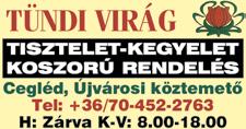 www. dpmsz. hu 5 I N G A T L A N CEGLÉD központjában 8 lakásos társasház épül. Lakások 60-80 nm nagyságúak, CSOK igényelhető. Lakások leköthetőek.