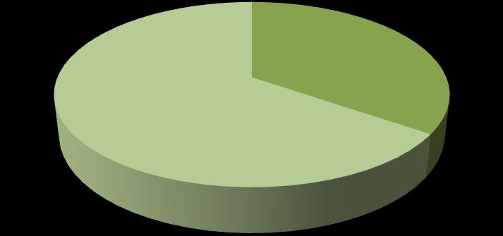 Dolgozott eddigi élete során külföldön? 11% 10% 79% igen, már többször igen, egyszer nem, még soha Ha nincs nyelvvizsgája, utasították már el emiatt a pályázatát?