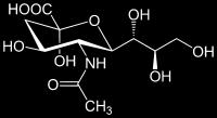 Módosított monoszacharidok III: Muraminsav: Glukózamin és laktát étere Neuraminsav (Neu): Mannózamin+Piruvát
