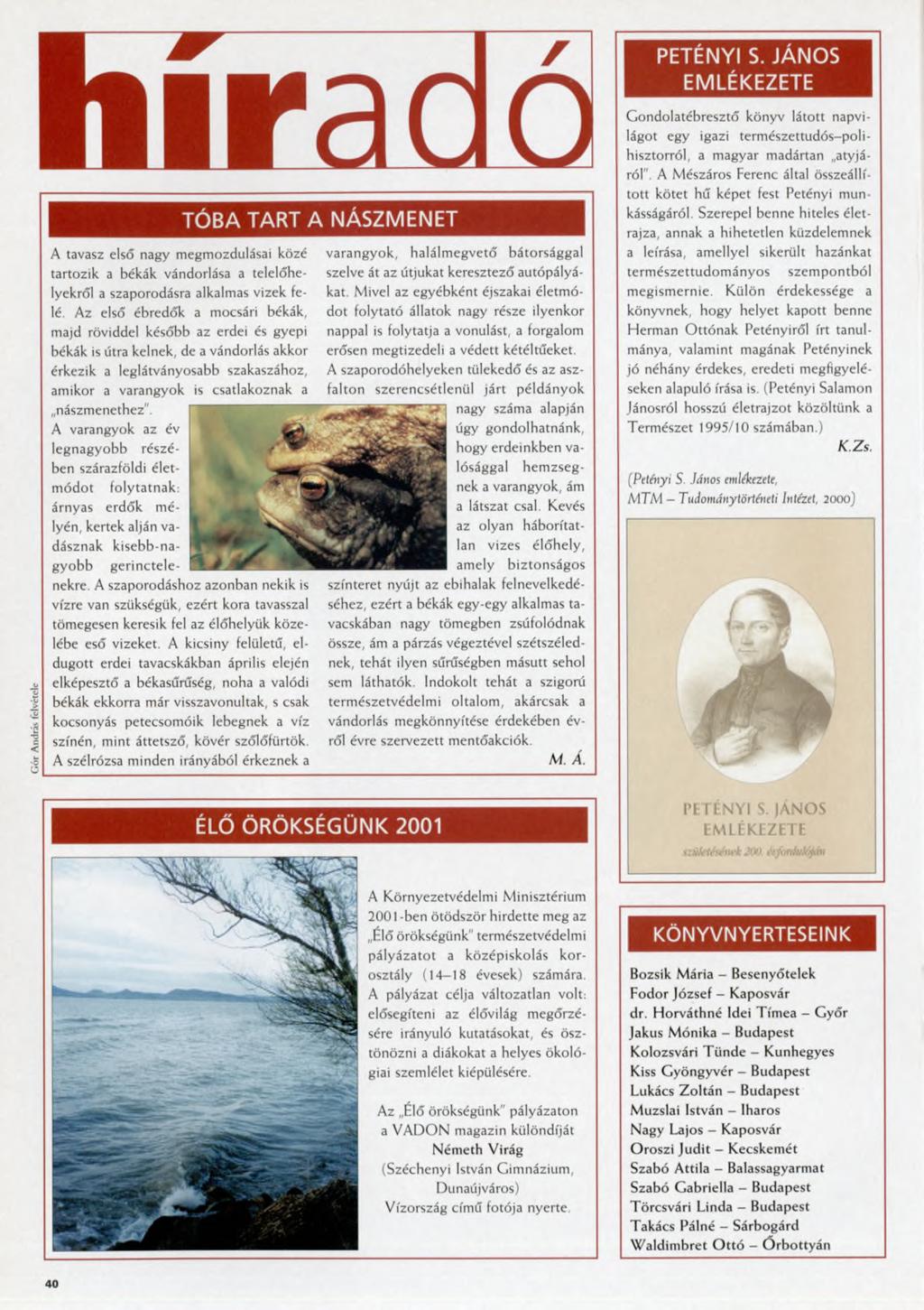Kis tizenévesek és nagy kakasok