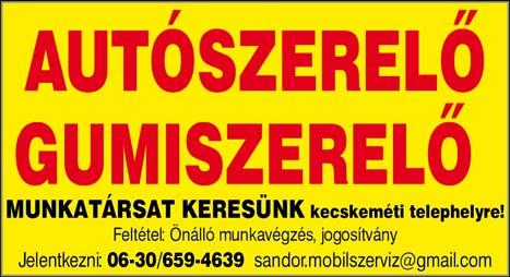 tudományterületeket, másrészt közérthető, ismeretterjesztő módon szólnak a