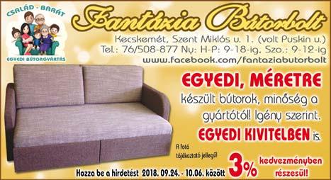 sajtótájékoztatón dr. Fülöp Tamás dékán.