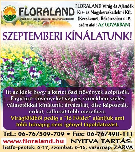 A Bem utca Kuruc körút kereszteződésében építendő körforgalomról tartott szeptember 20-án közös sajtótájékoztatót a város és a kivitelező Colas Út Zrt.
