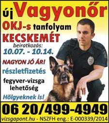 Jelentkezés: info@ simoningatlan.hu SZAKKÉPZETT ELADÓT keresünk a Piaccsarnoki élelmiszerboltba, nyugdíjast is!