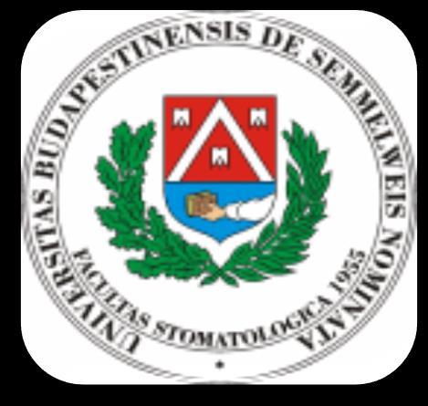 igazgató: Dr.
