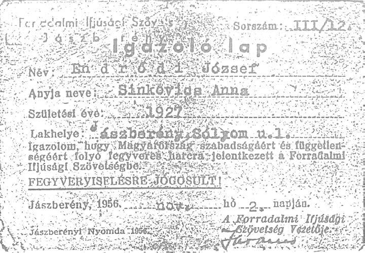 1956 forradalma 131 Igazoló lap Nem valószínű, hogy tényleg ott volt, mert a munkásruhája patyolattiszta maradt. Déli 12-kor már otthon volt, kezet mosott és mind a hárman asztalhoz ültünk ebédelni.