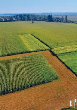 A PIONEER Portfólió Farm -ok helyszínei Pápa 83-as főút Pápát elkerülő szakaszát Sárvár irányába elhagyva, az út bal oldalán.