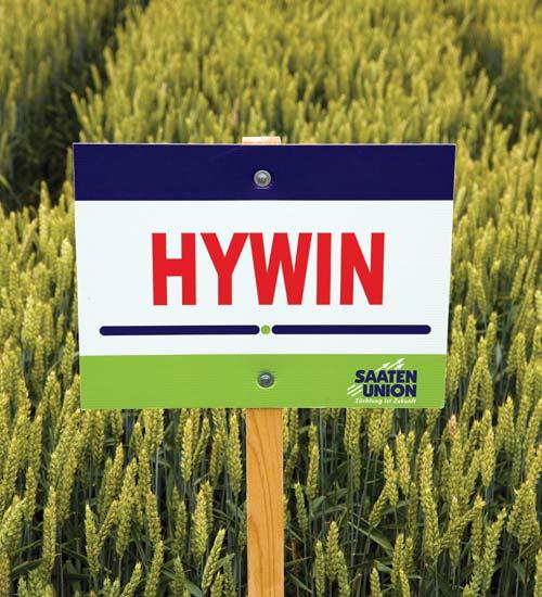 HYSTAR jellemzôivel. A HYWIN az egyik legígéretesebb búzahibrid, amely francia vetésterületen a legnagyobb növekedést érte el 2013-ban.