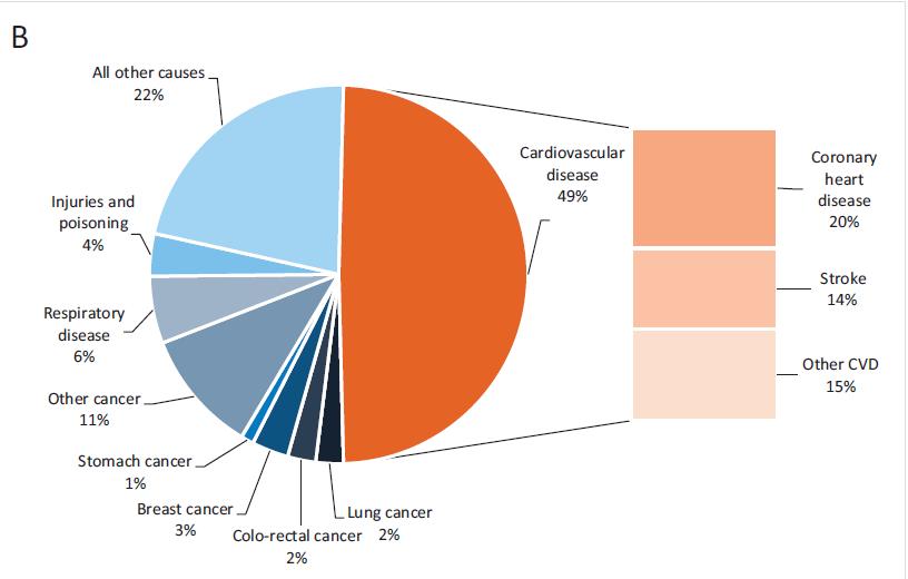 3 millió halál/év (az összes halálozás 31,5%- a) CVD Európábanévente