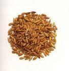 (rebarbara), quinoa (céklaféle), vadrizs