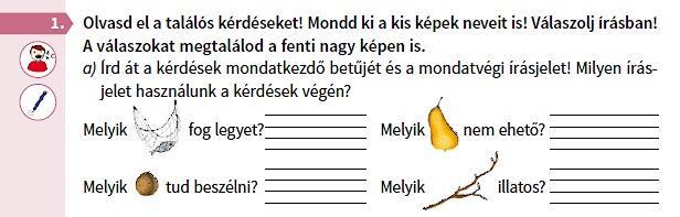 lépnek be egyszerre az olvasni-írni tudás palotájába, így különféle szinteken birtokolják és használják a nyelvet.