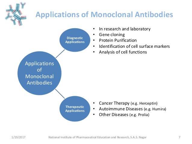 Immunmoduláló szerek Monoklonális antitestek: rosszindulatú daganatos betegség, transzplantációs kilökődés, autoimmun és gyulladásos megbetegedések, számos további indikáció