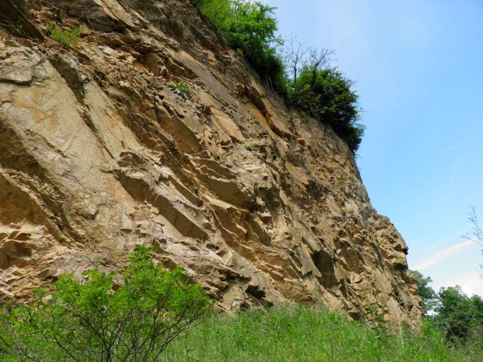 paelozoikum Mórágyi