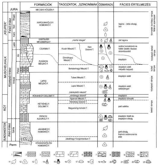 A Mecseki-zóna triász képződményei 1. kőszén 2. mészmárga 3. ooidos mészkő 4. mészkő 5. dolomit 6. gumós mészkő 7. evaporit 8. aleurolit 9. homokkő 10.