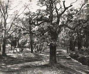 739. Amazon- és nőtanulmány, 1914 rajz j. b. l.: mon. 911 és j. j. mon. 913 Húsvét, a Céhbeliek első könyve.