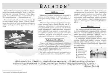 9. Az oldal hátterében helyezze el a balaton.png képet! A kép szélességét a méretarányok megtartása mellett 26 cm-re állítsa be!